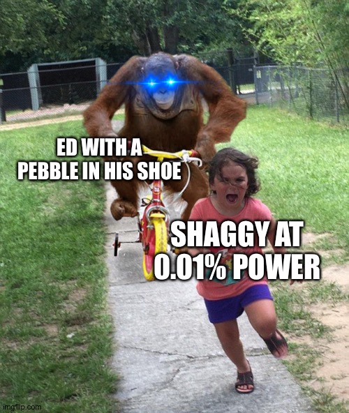 Orangutan chasing girl on a tricycle | ED WITH A PEBBLE IN HIS SHOE; SHAGGY AT 0.01% POWER | image tagged in orangutan chasing girl on a tricycle | made w/ Imgflip meme maker