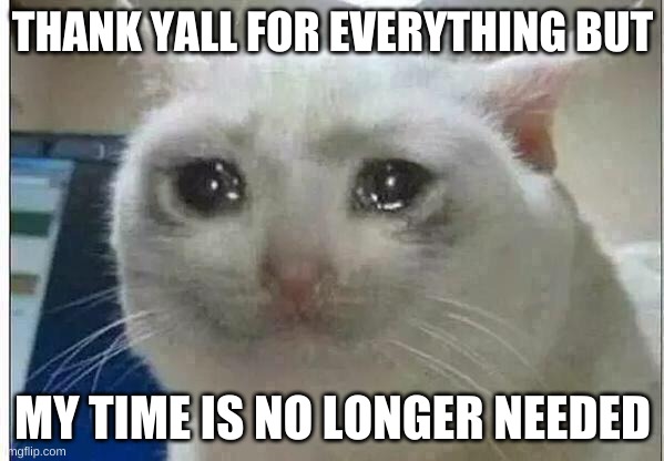thank you imgflip for everything | THANK YALL FOR EVERYTHING BUT; MY TIME IS NO LONGER NEEDED | image tagged in crying cat | made w/ Imgflip meme maker