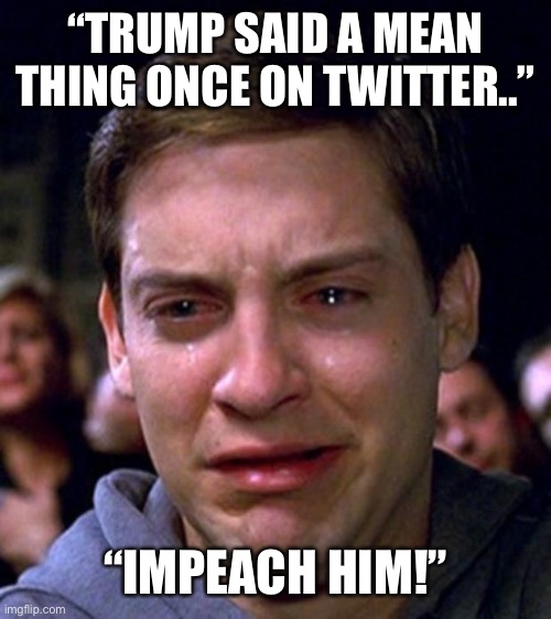 crying peter parker | “TRUMP SAID A MEAN THING ONCE ON TWITTER..” “IMPEACH HIM!” | image tagged in crying peter parker | made w/ Imgflip meme maker