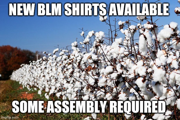 Cotton Field | NEW BLM SHIRTS AVAILABLE; SOME ASSEMBLY REQUIRED | image tagged in cotton field | made w/ Imgflip meme maker