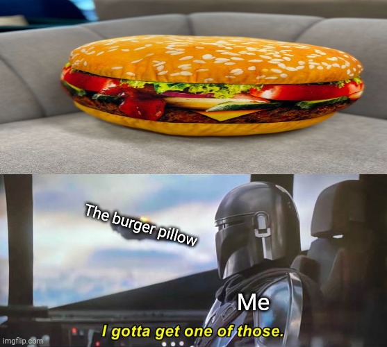 The burger pillow | The burger pillow; Me | image tagged in i gotta get one of those correct text boxes,burger,pillow,memes,funny,invest | made w/ Imgflip meme maker