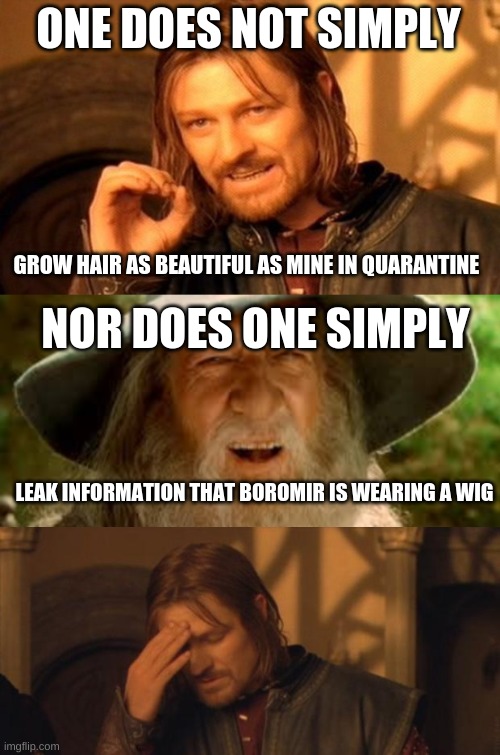 THE TRUTH REVEALED | ONE DOES NOT SIMPLY; GROW HAIR AS BEAUTIFUL AS MINE IN QUARANTINE; NOR DOES ONE SIMPLY; LEAK INFORMATION THAT BOROMIR IS WEARING A WIG | image tagged in one does not simply,gandalf | made w/ Imgflip meme maker