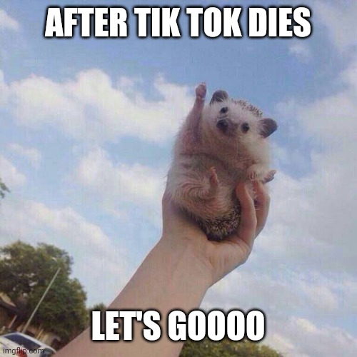 After tik tok dies | AFTER TIK TOK DIES; LET'S GOOOO | image tagged in lets go | made w/ Imgflip meme maker