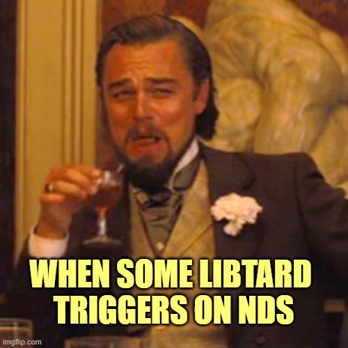 Laughing Leo Meme | WHEN SOME LIBTARD 
TRIGGERS ON NDS | image tagged in memes,laughing leo | made w/ Imgflip meme maker