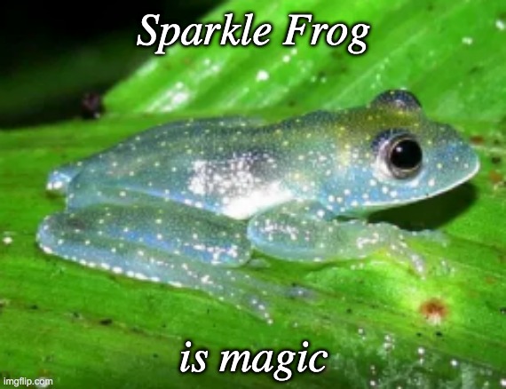 *magical hopping* | Sparkle Frog; is magic | image tagged in sparkle frog,frog,magic,pretty | made w/ Imgflip meme maker