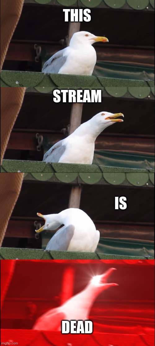 (by the end of the day) | THIS; STREAM; IS; DEAD | image tagged in memes,inhaling seagull | made w/ Imgflip meme maker