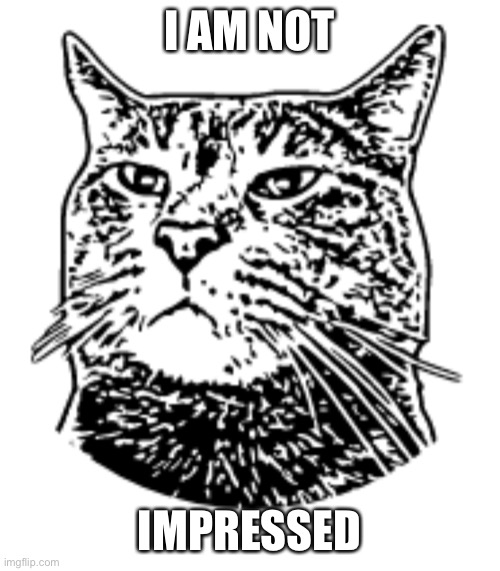 Unimpressed cat |  I AM NOT; IMPRESSED | image tagged in unimpressed,cat,judging | made w/ Imgflip meme maker