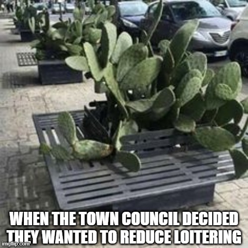 Prickly Jerks | WHEN THE TOWN COUNCIL DECIDED THEY WANTED TO REDUCE LOITERING | image tagged in you had one job | made w/ Imgflip meme maker