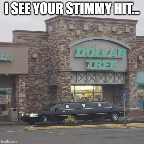 stimmy |  I SEE YOUR STIMMY HIT... | image tagged in stimulus check,rich,got money,making bank | made w/ Imgflip meme maker