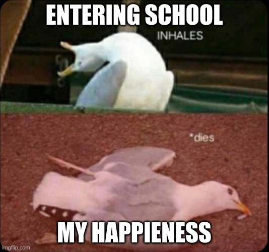 inhales dies bird | ENTERING SCHOOL; MY HAPPIENESS | image tagged in inhales dies bird | made w/ Imgflip meme maker