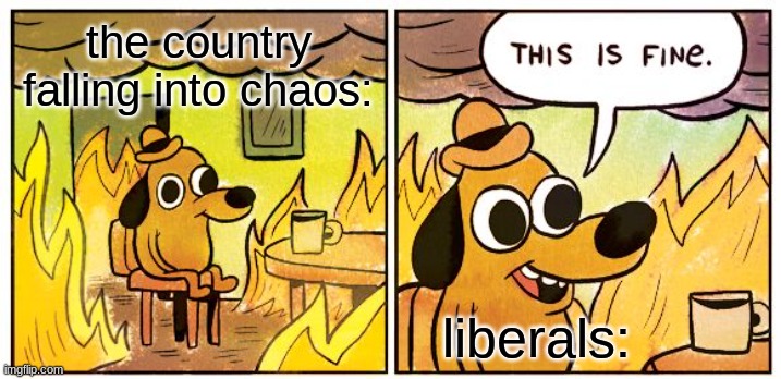 Haha | the country falling into chaos:; liberals: | image tagged in memes,this is fine,why did i make this,it's not even funny smh | made w/ Imgflip meme maker