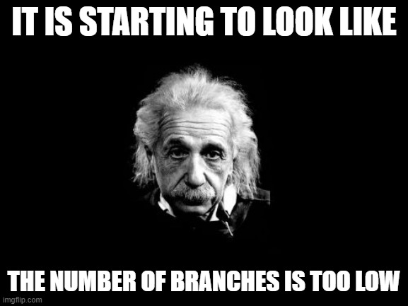 Albert Einstein 1 Meme | IT IS STARTING TO LOOK LIKE THE NUMBER OF BRANCHES IS TOO LOW | image tagged in memes,albert einstein 1 | made w/ Imgflip meme maker
