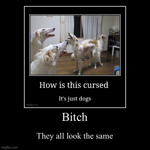 image tagged in funny,demotivationals | made w/ Imgflip demotivational maker