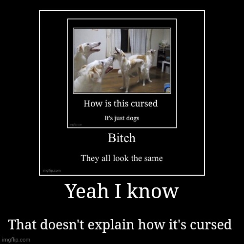 image tagged in funny,demotivationals | made w/ Imgflip demotivational maker