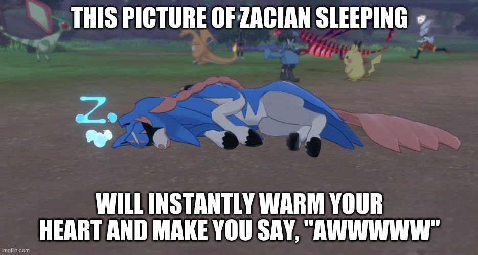 THIS PICTURE OF ZACIAN SLEEPING; WILL INSTANTLY WARM YOUR HEART AND MAKE YOU SAY, "AWWWWW" | image tagged in pokemon go | made w/ Imgflip meme maker