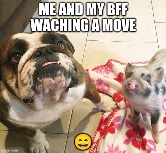 ME AND MY BFF WACHING A MOVE; 😄 | image tagged in bff | made w/ Imgflip meme maker