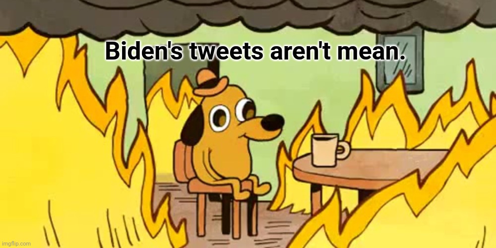 Dog on fire | Biden's tweets aren't mean. | image tagged in dog on fire | made w/ Imgflip meme maker