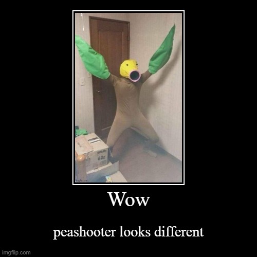 wow | image tagged in funny,demotivationals | made w/ Imgflip demotivational maker