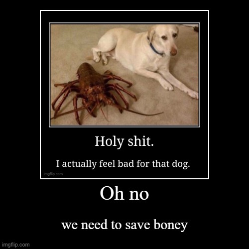 oh no | image tagged in funny,demotivationals | made w/ Imgflip demotivational maker