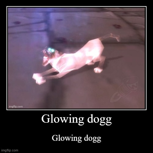 Glowing dogg | image tagged in dog | made w/ Imgflip demotivational maker