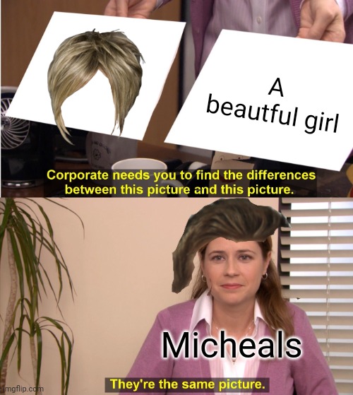 Bruy | A beautful girl; Micheals | image tagged in memes,they're the same picture | made w/ Imgflip meme maker