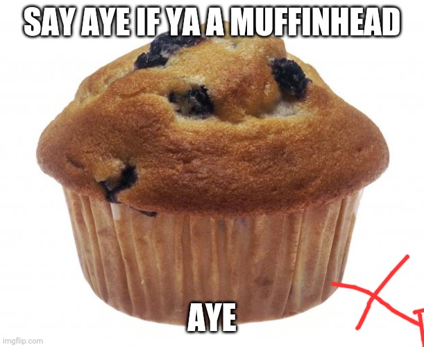 Welp I hope I get some ayes | SAY AYE IF YA A MUFFINHEAD; AYE | image tagged in popular opinion muffin,bad boy,halo | made w/ Imgflip meme maker