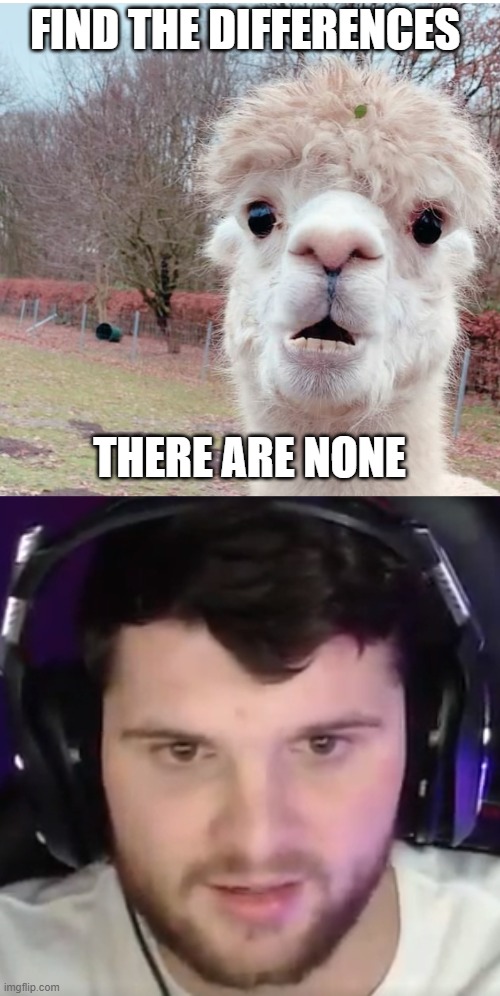 FIND THE DIFFERENCES; THERE ARE NONE | made w/ Imgflip meme maker