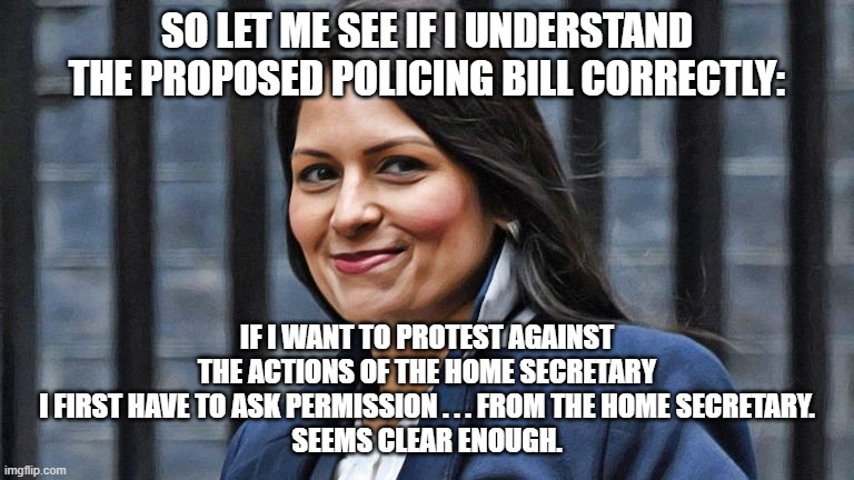 Priti Patel | SO LET ME SEE IF I UNDERSTAND THE PROPOSED POLICING BILL CORRECTLY:; IF I WANT TO PROTEST AGAINST THE ACTIONS OF THE HOME SECRETARY
I FIRST HAVE TO ASK PERMISSION . . . FROM THE HOME SECRETARY.
SEEMS CLEAR ENOUGH. | image tagged in priti patel | made w/ Imgflip meme maker