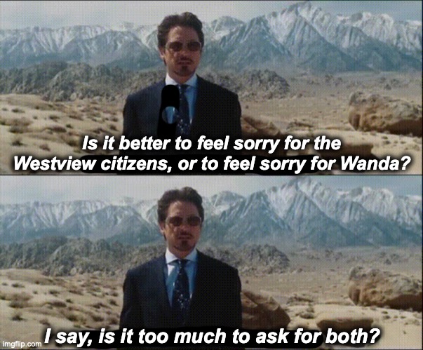 Is it better to feel sorry for the Westview citizens, or to feel sorry for Wanda? I say, is it too much to ask for both? | image tagged in is it too much to ask for both,wandavision,wanda,vision | made w/ Imgflip meme maker