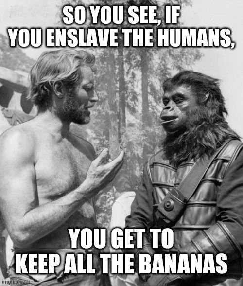 Monkey business | SO YOU SEE, IF YOU ENSLAVE THE HUMANS, YOU GET TO KEEP ALL THE BANANAS | image tagged in planet of the apes,charlton heston,actors,bananas,funny memes | made w/ Imgflip meme maker
