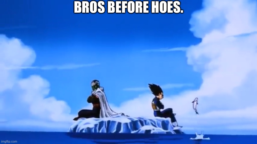 Bros forever. | BROS BEFORE HOES. | image tagged in mario bros views | made w/ Imgflip meme maker