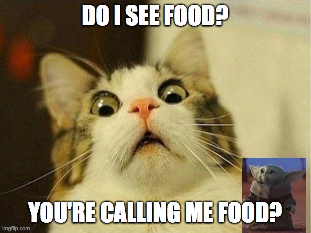 Scared Cat | DO I SEE FOOD? YOU'RE CALLING ME FOOD? | image tagged in memes,scared cat | made w/ Imgflip meme maker