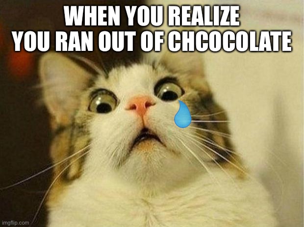 Scared Cat Meme | WHEN YOU REALIZE YOU RAN OUT OF CHCOCOLATE | image tagged in memes,scared cat | made w/ Imgflip meme maker