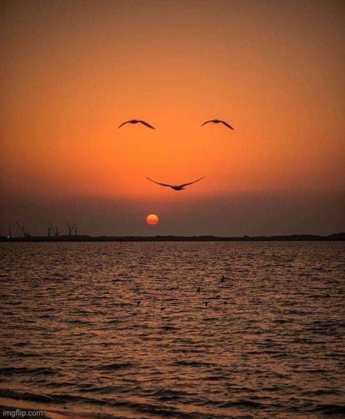 Good night! | image tagged in sunset,bird,smiley,face,awesome pic | made w/ Imgflip meme maker