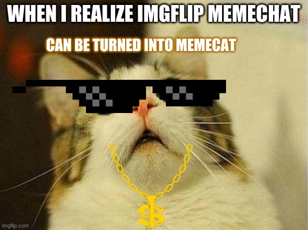 memechat, memecat |  WHEN I REALIZE IMGFLIP MEMECHAT; CAN BE TURNED INTO MEMECAT | image tagged in memes,scared cat,cat,imgflip memechat | made w/ Imgflip meme maker