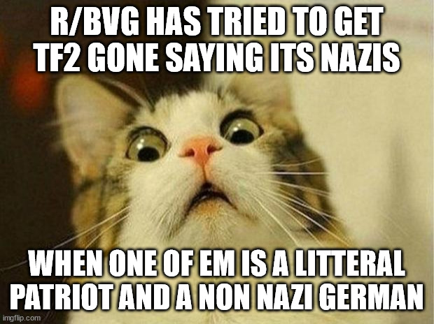 Scared Cat Meme | R/BVG HAS TRIED TO GET TF2 GONE SAYING ITS NAZIS; WHEN ONE OF EM IS A LITTERAL PATRIOT AND A NON NAZI GERMAN | image tagged in memes,scared cat | made w/ Imgflip meme maker