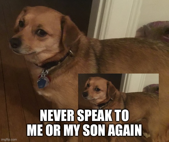 h | NEVER SPEAK TO ME OR MY SON AGAIN | made w/ Imgflip meme maker