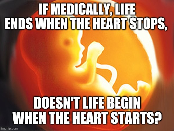 unborn child | IF MEDICALLY, LIFE ENDS WHEN THE HEART STOPS, DOESN'T LIFE BEGIN WHEN THE HEART STARTS? | image tagged in unborn child | made w/ Imgflip meme maker