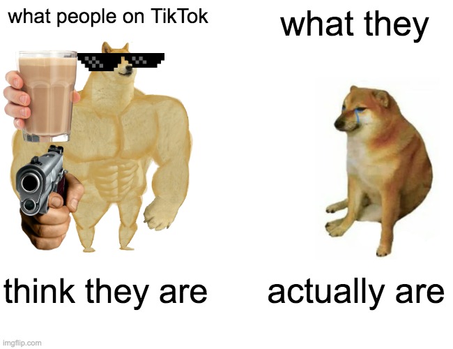 Tiktok people bad | what people on TikTok; what they; think they are; actually are | image tagged in memes,buff doge vs cheems | made w/ Imgflip meme maker