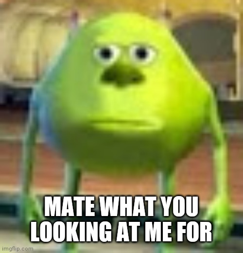 [ title space is empty ] | MATE WHAT YOU LOOKING AT ME FOR | image tagged in sully wazowski | made w/ Imgflip meme maker