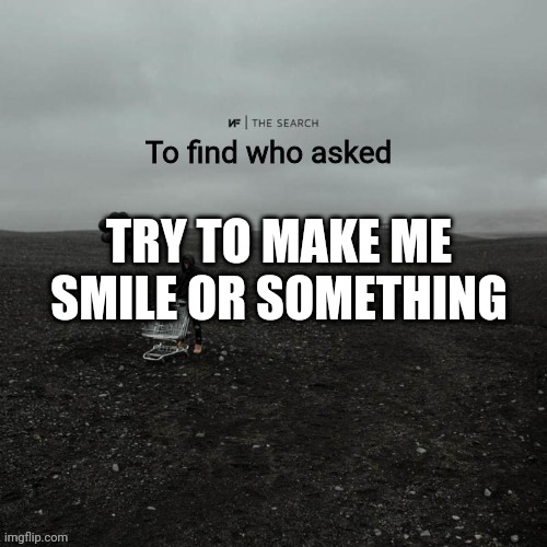THE SEARCH To find who asked | TRY TO MAKE ME SMILE OR SOMETHING | image tagged in the search to find who asked | made w/ Imgflip meme maker