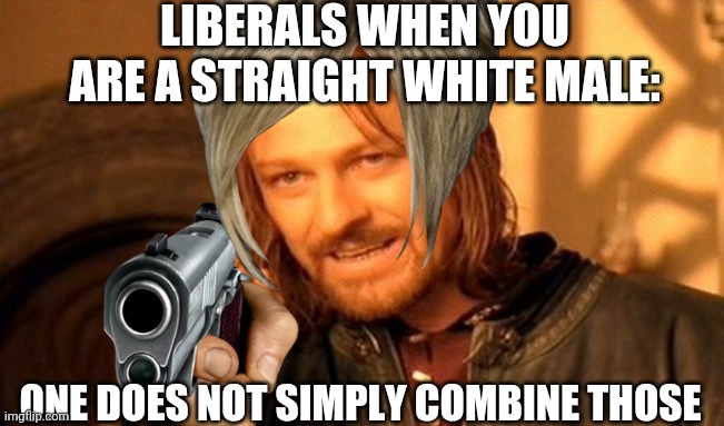 One Does Not Simply Meme | LIBERALS WHEN YOU ARE A STRAIGHT WHITE MALE:; ONE DOES NOT SIMPLY COMBINE THOSE | image tagged in memes,one does not simply | made w/ Imgflip meme maker