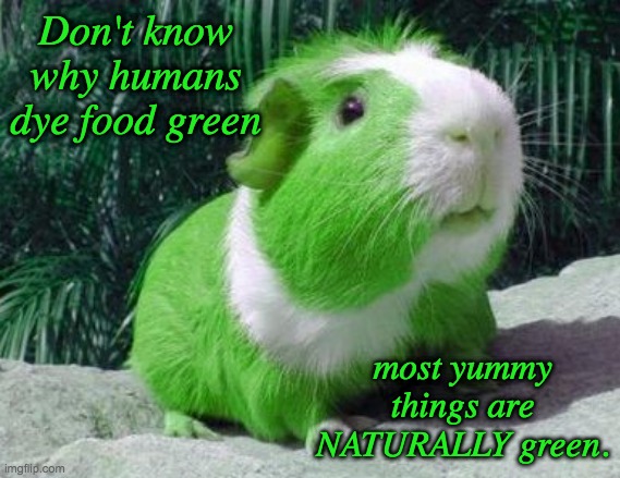 Not to be interpreted as an invitation to taste the guinea pigs | Don't know why humans dye food green; most yummy things are NATURALLY green. | image tagged in green guinea pig,food,green,st patrick's day,holidays | made w/ Imgflip meme maker