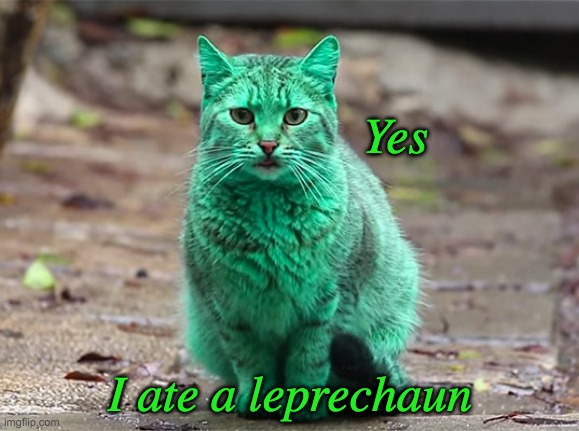 St. Patrick's Day starts early | Yes; I ate a leprechaun | image tagged in akashi,green,cat,holidays,st patrick's day | made w/ Imgflip meme maker