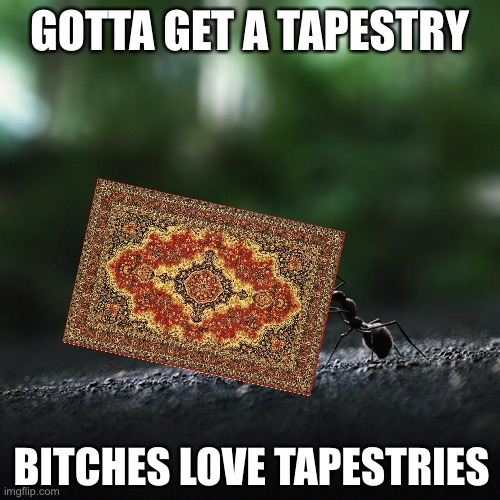 Gotta get a tapestry | GOTTA GET A TAPESTRY; BITCHES LOVE TAPESTRIES | image tagged in ant rolling a water droplet | made w/ Imgflip meme maker