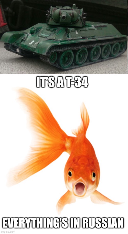 IT’S A T-34 EVERYTHING’S IN RUSSIAN | image tagged in tonk,goldfish | made w/ Imgflip meme maker