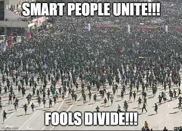 BE SMART!!! | SMART PEOPLE UNITE!!! FOOLS DIVIDE!!! | image tagged in crowd rush | made w/ Imgflip meme maker