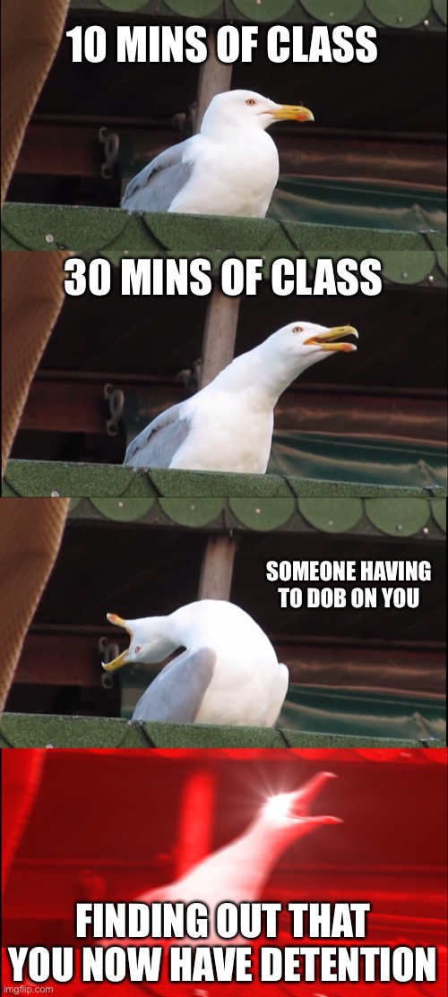 Probably your life at school | 10 MINS OF CLASS; 30 MINS OF CLASS; SOMEONE HAVING TO DOB ON YOU; FINDING OUT THAT YOU NOW HAVE DETENTION | image tagged in memes,inhaling seagull | made w/ Imgflip meme maker