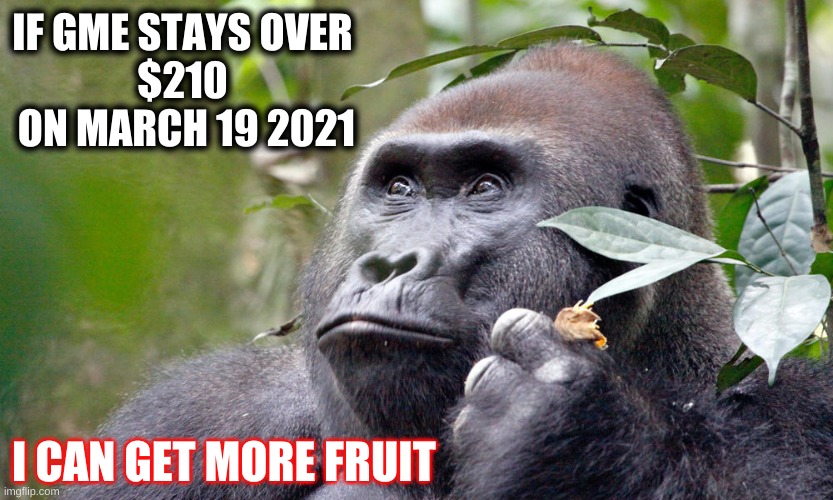 GME WSB gorilla | IF GME STAYS OVER 
$210 
ON MARCH 19 2021; I CAN GET MORE FRUIT | image tagged in memes | made w/ Imgflip meme maker