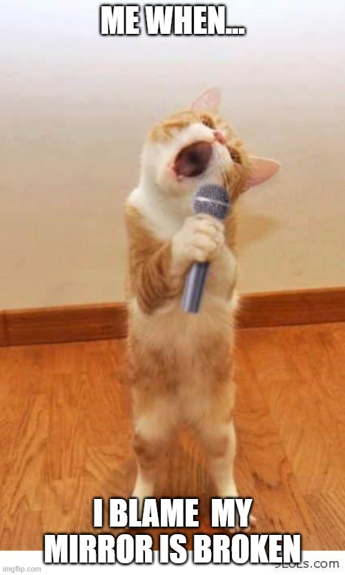 Cat Singer |  ME WHEN... I BLAME  MY MIRROR IS BROKEN | image tagged in cat singer | made w/ Imgflip meme maker